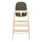 Стул для кормления CARRELLO Ergo CRL-16701 pine green /1/ MOQ